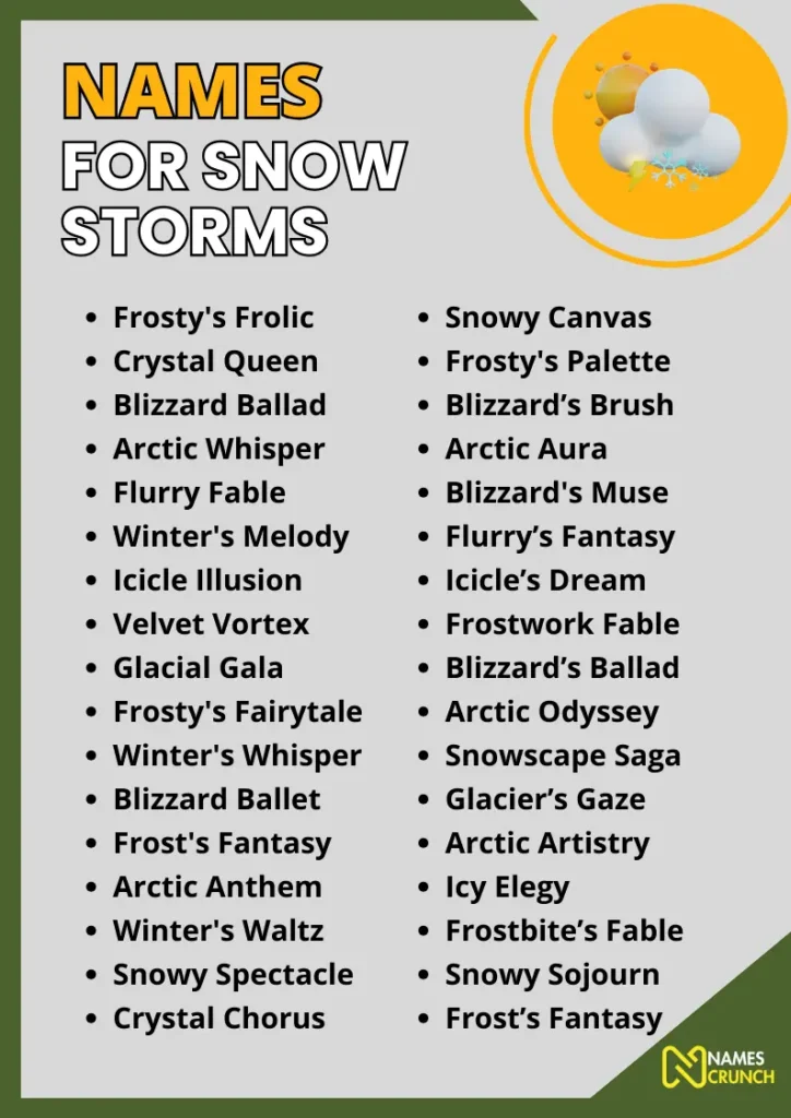 Names for Snow Storms infographic