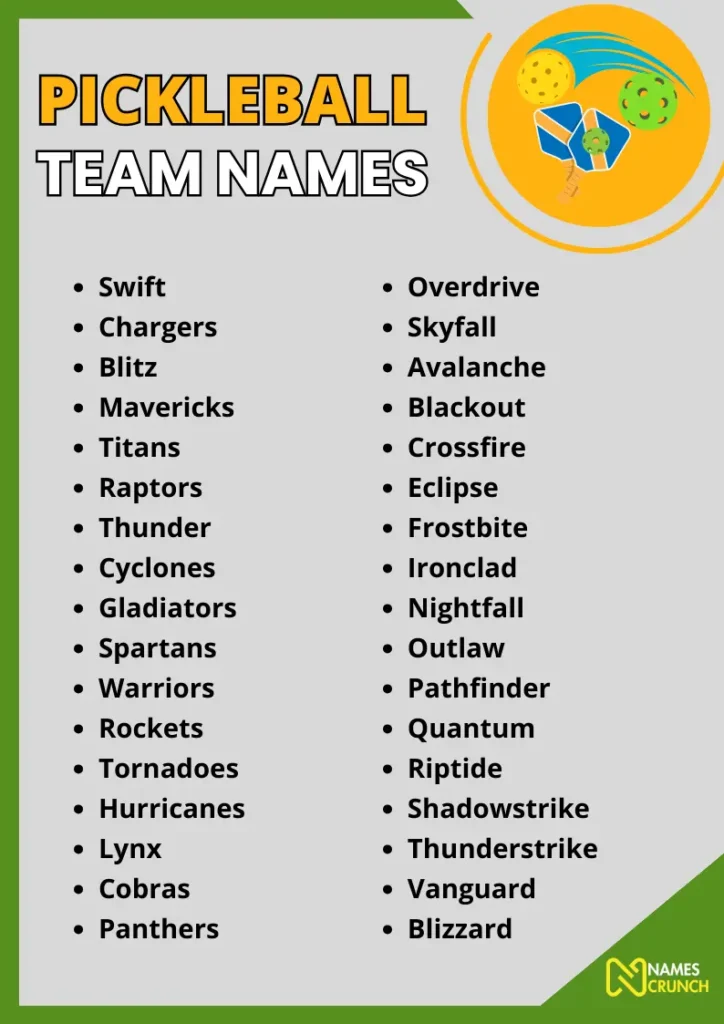 Pickleball Team Names infographic