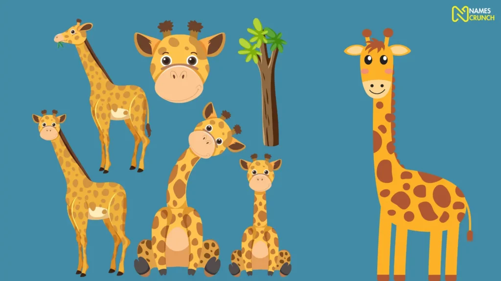 names for male giraffes