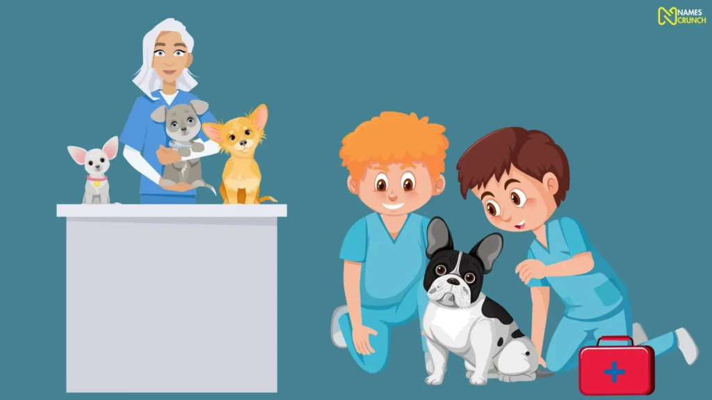 Animal Rescue Team Names