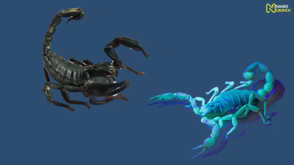 Catchy Scorpion Names