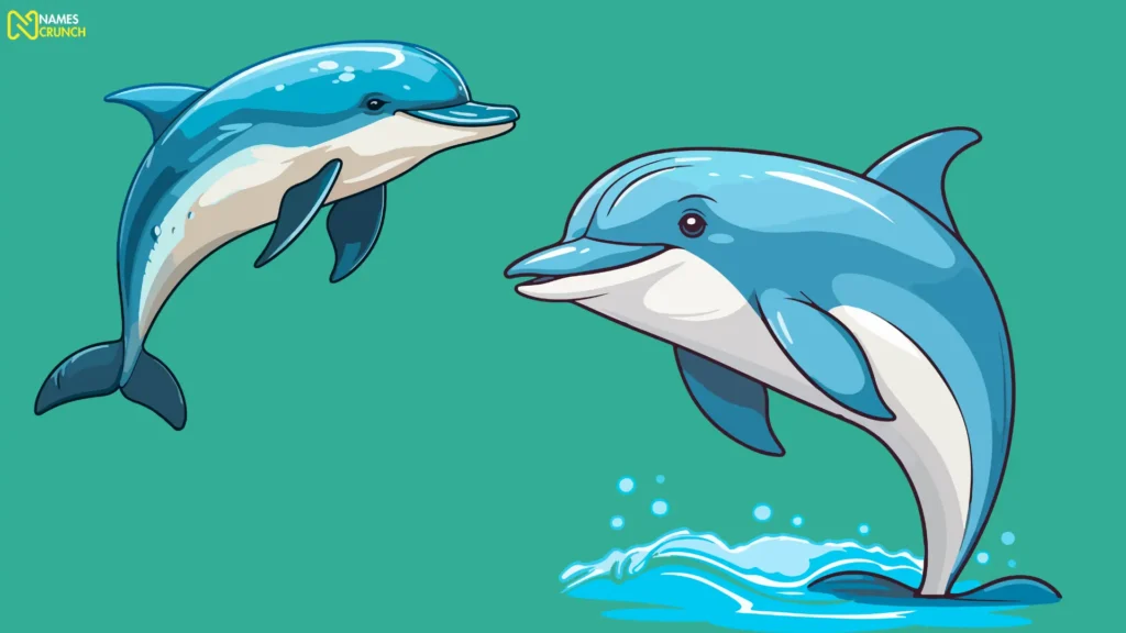 Cool Dolphin Names