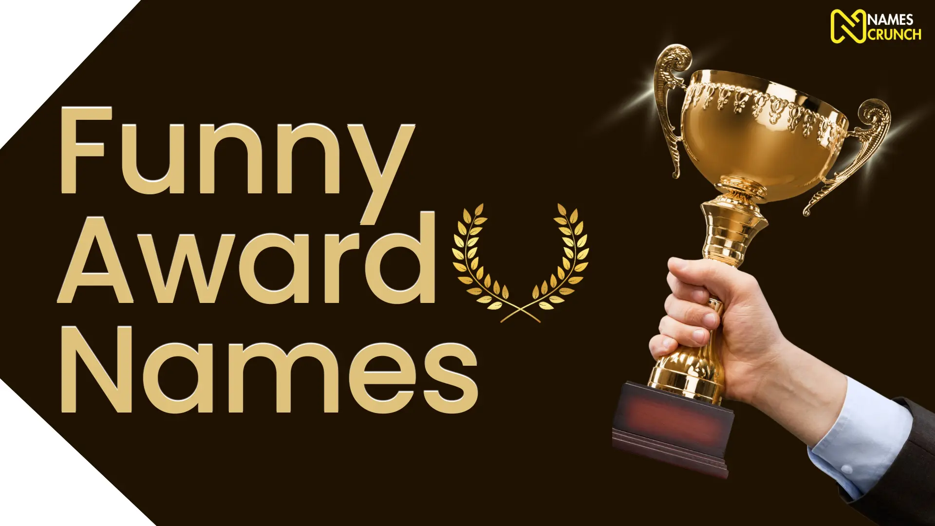 Funny Award Names