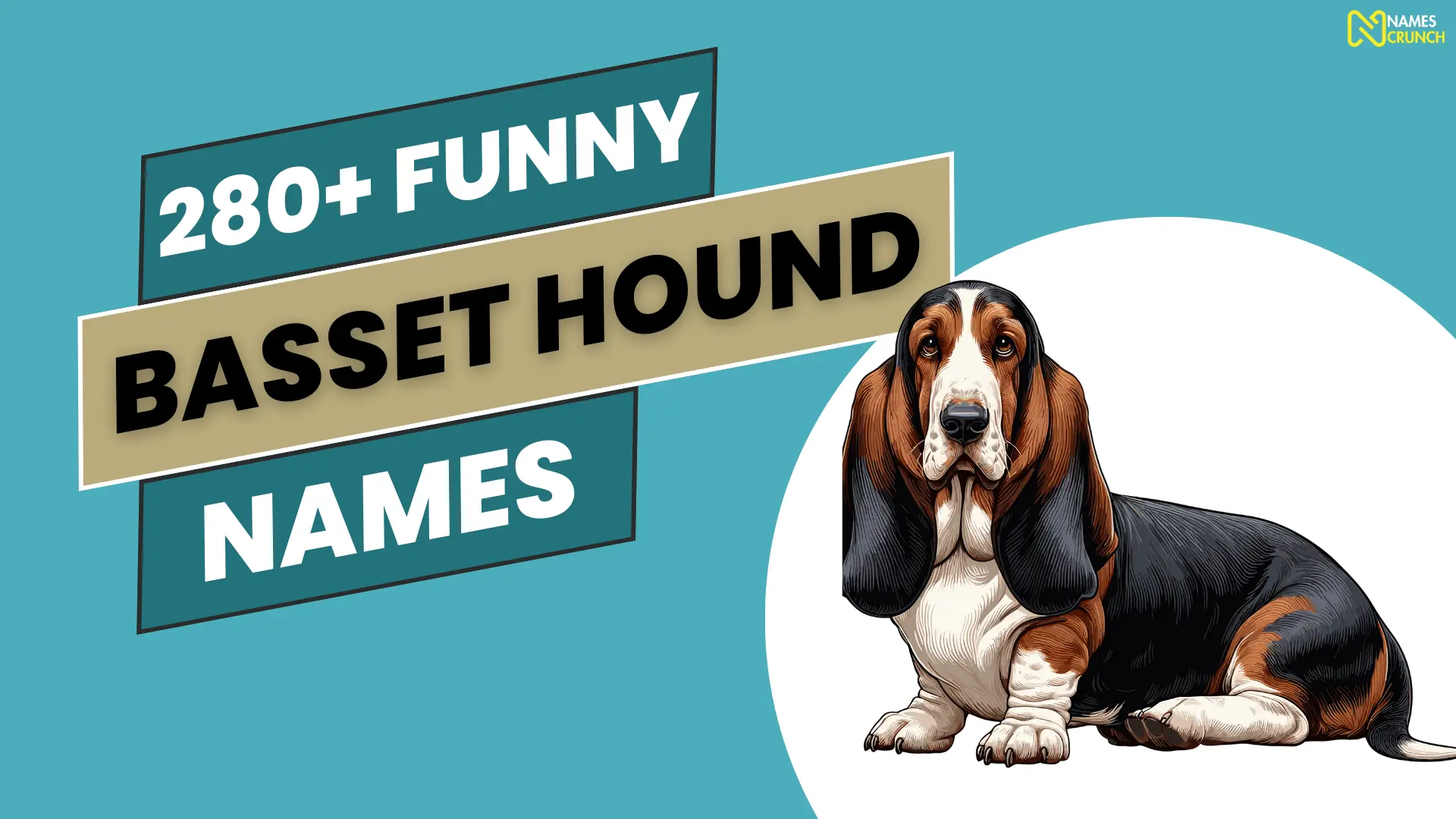 Funny Basset Hound Names