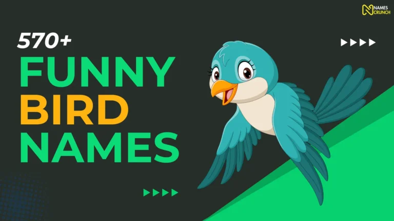 Funny Bird Names-names crunch