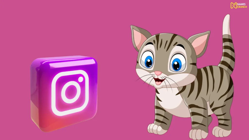 Funny Cat Instagram Names