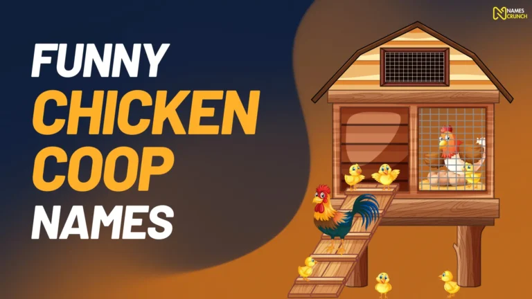 Funny Chicken Coop Names