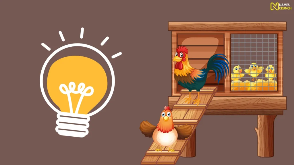 Funny Chicken Coop Names Ideas List
