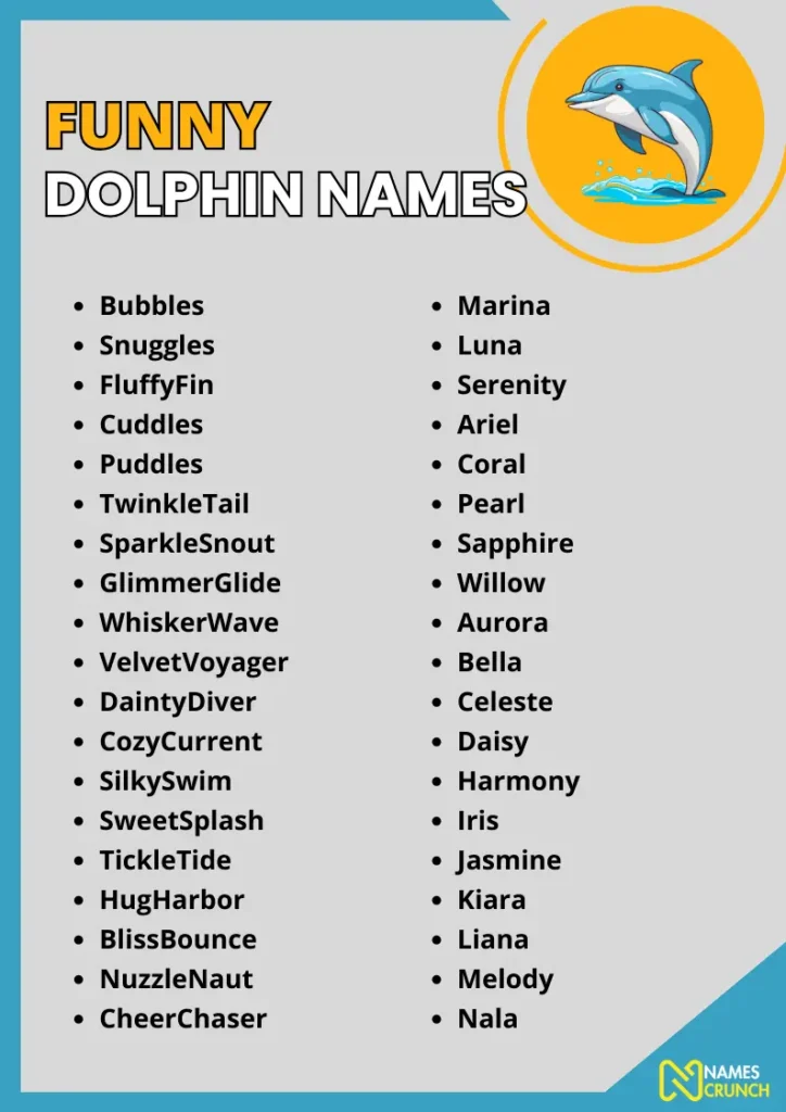 Funny Dolphin Names infographic