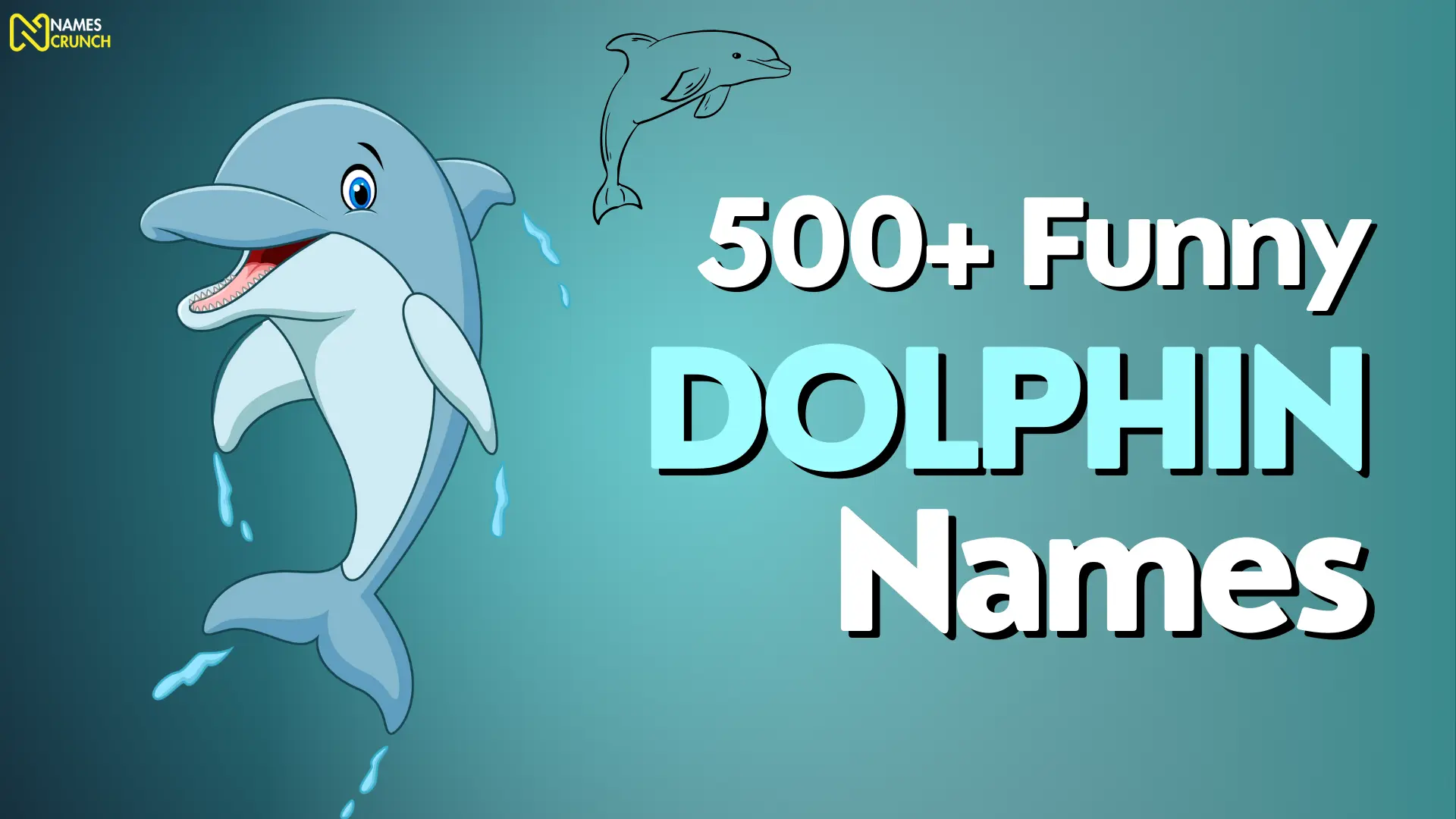 Funny Dolphin Names