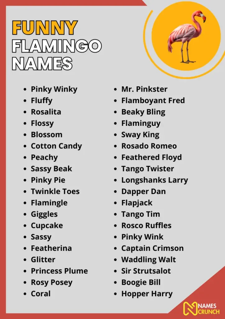 Funny Flamingo Names infographic