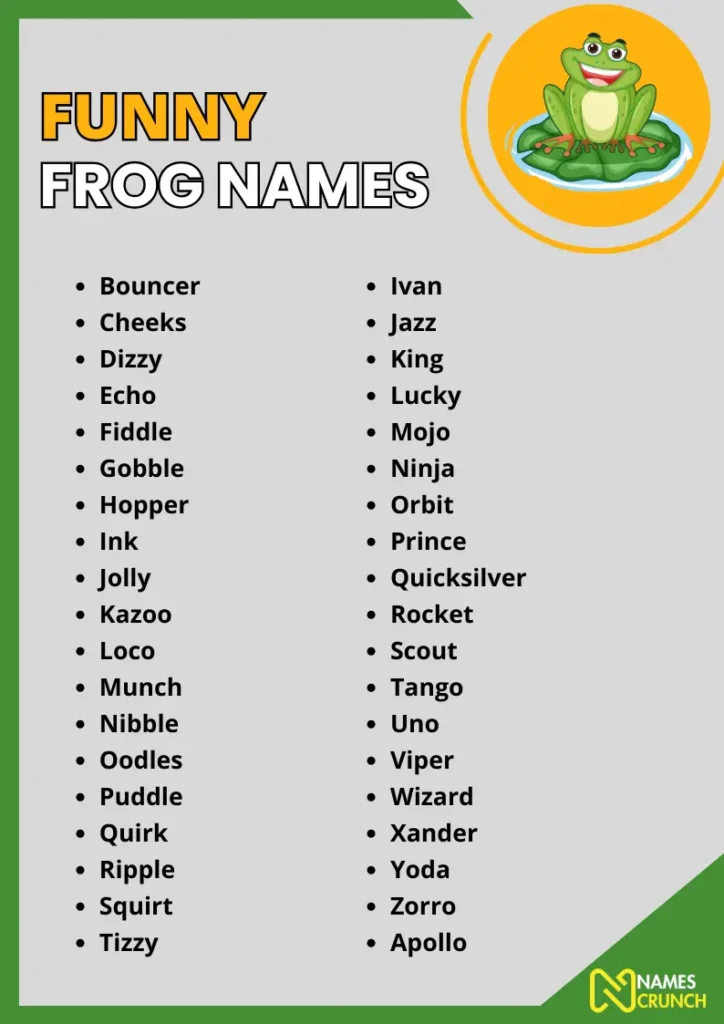 Funny Frog Names infographic