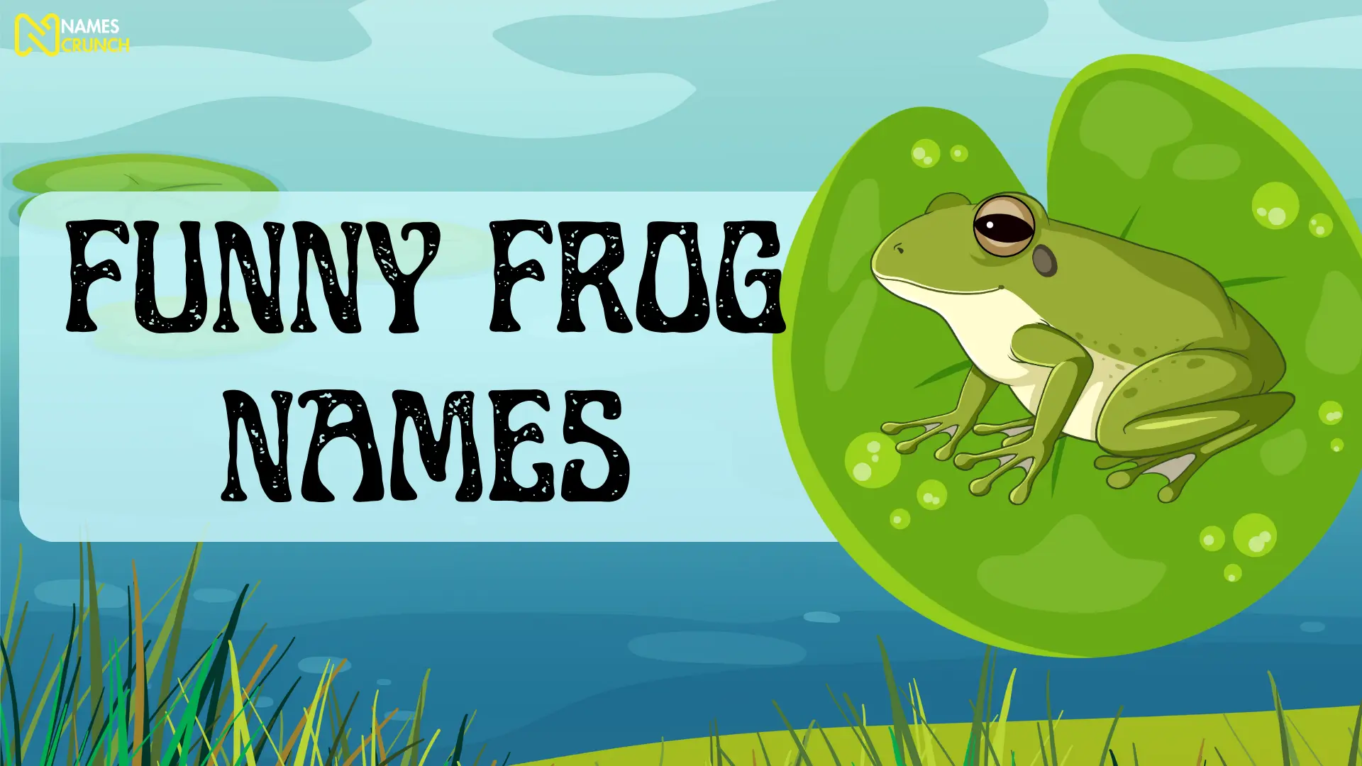 Funny Frog Names