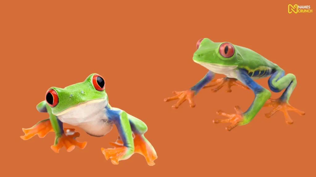Funny Frog Tree Names