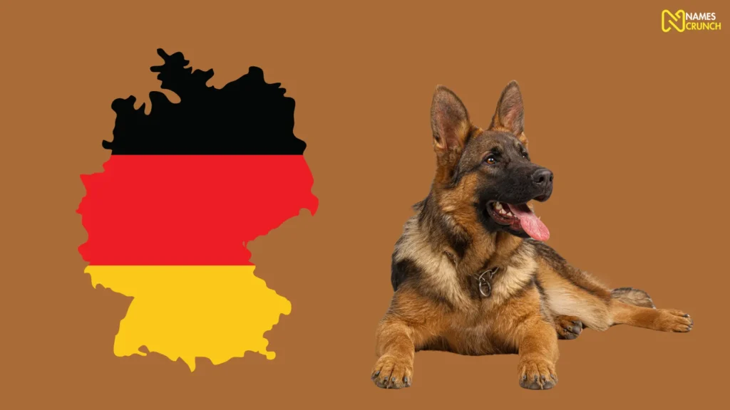Funny German Dog Names