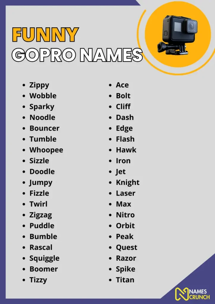 Funny GoPro Names infographic