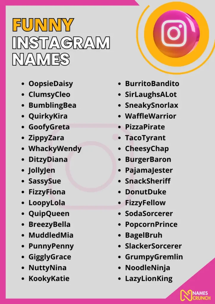 Funny Instagram Names infographic