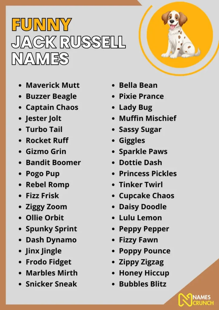 Funny Jack Russell Names infographic