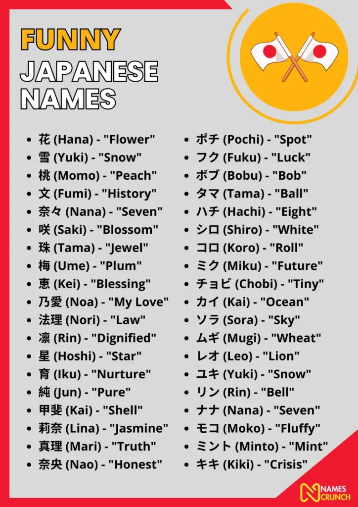 Funny Japanese Names infographic