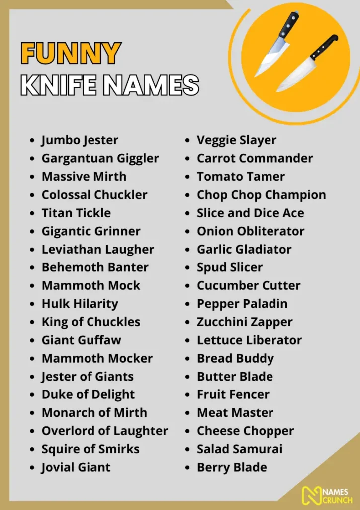 Funny Knife Names infographic