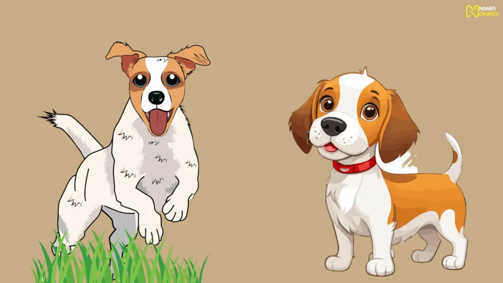 Funny Male Jack Russell Names