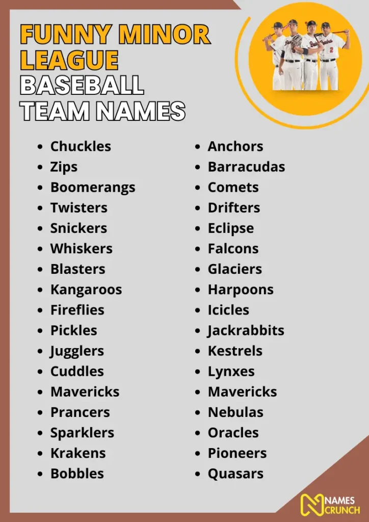 Funny Minor League Baseball Team Names infographic