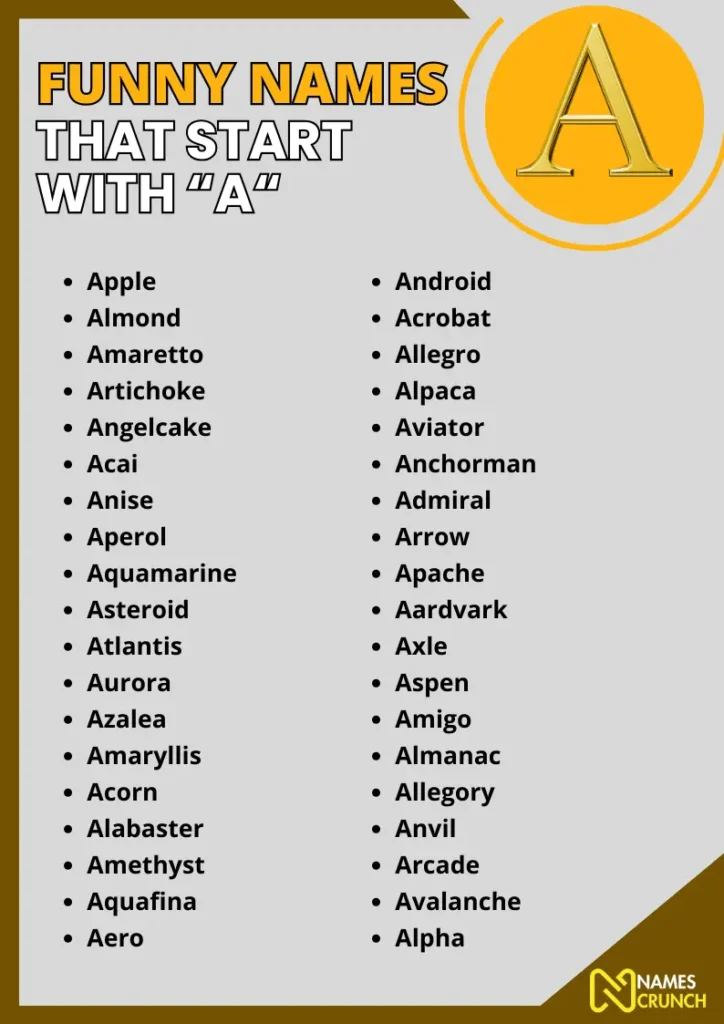 Funny Names That Start With A infographic