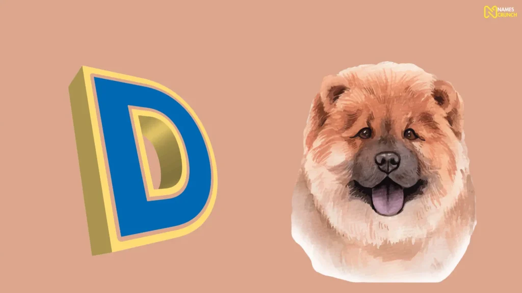 Funny Names That Start With D for Pets