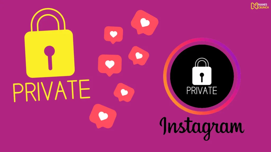 Funny Private Instagram Names