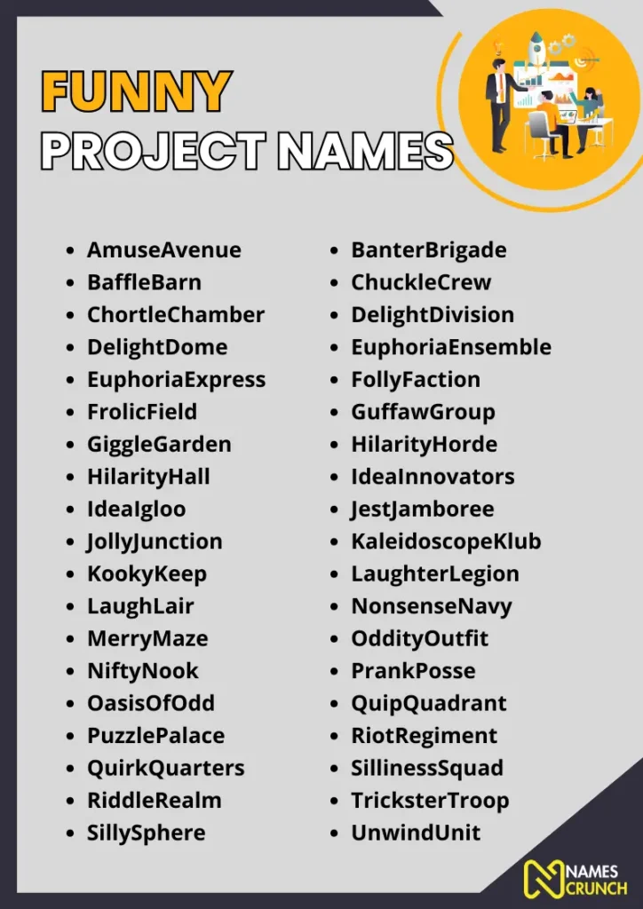 Funny Project names infographic
