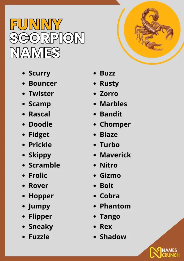 Funny Scorpion Names infographic