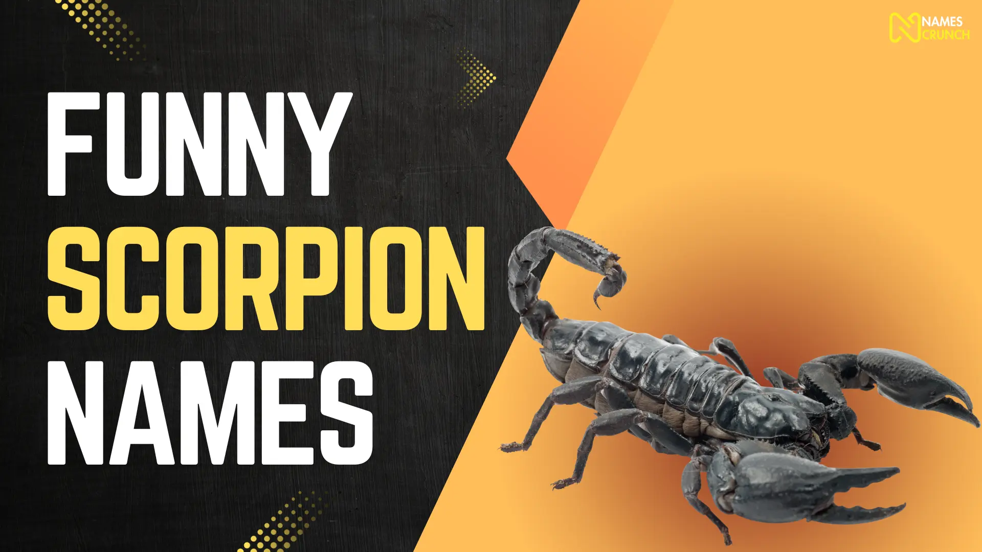 Funny Scorpion Names