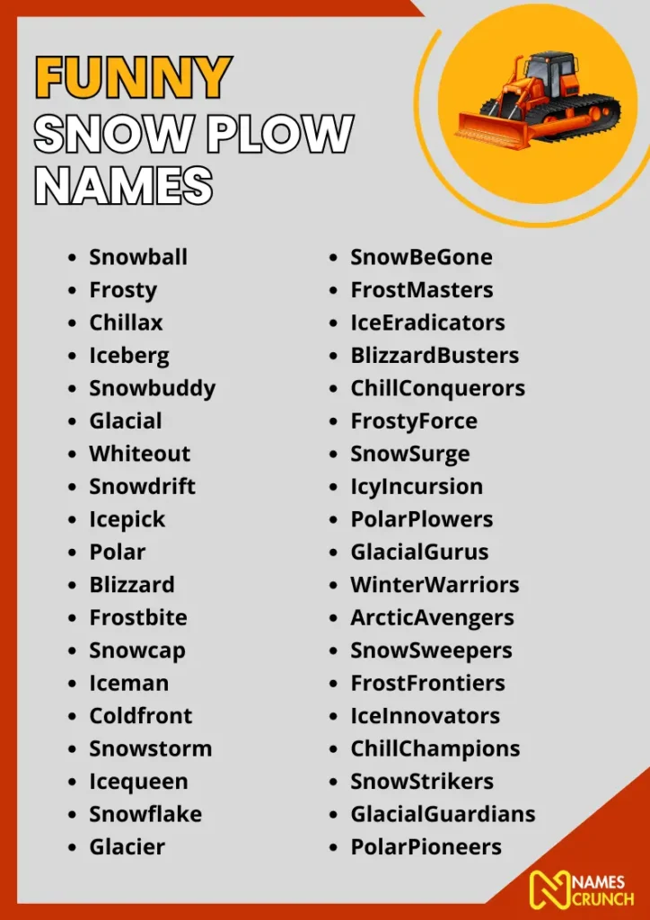 Funny Snow Plow Names infographic