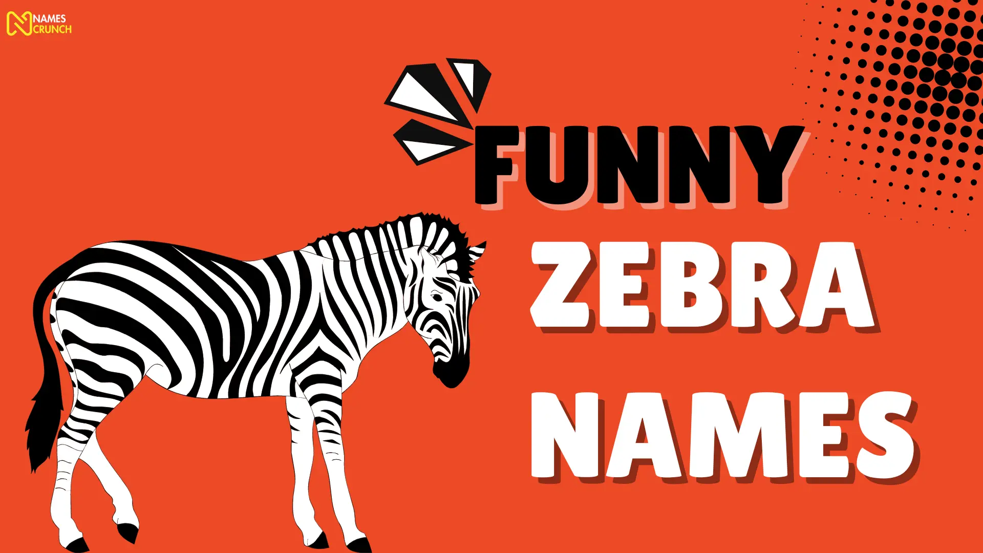 Funny Zebra Names