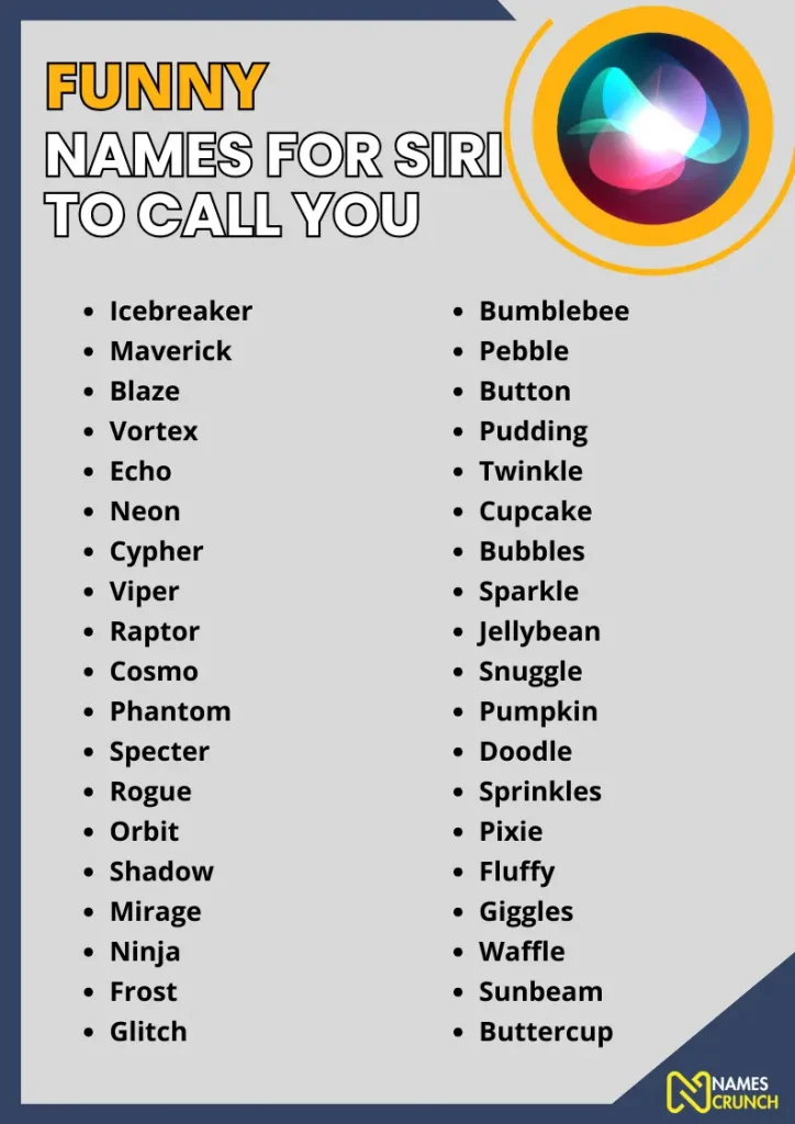 Funny names for Siri to call you infographic