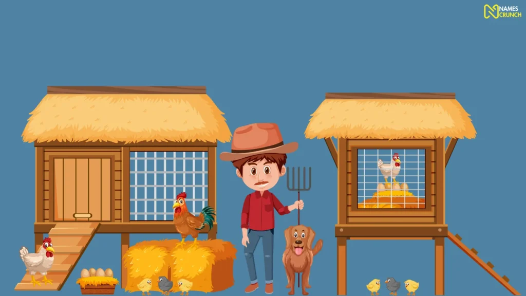 Good Chicken Coop Names