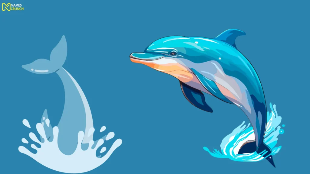 Male Dolphin Names