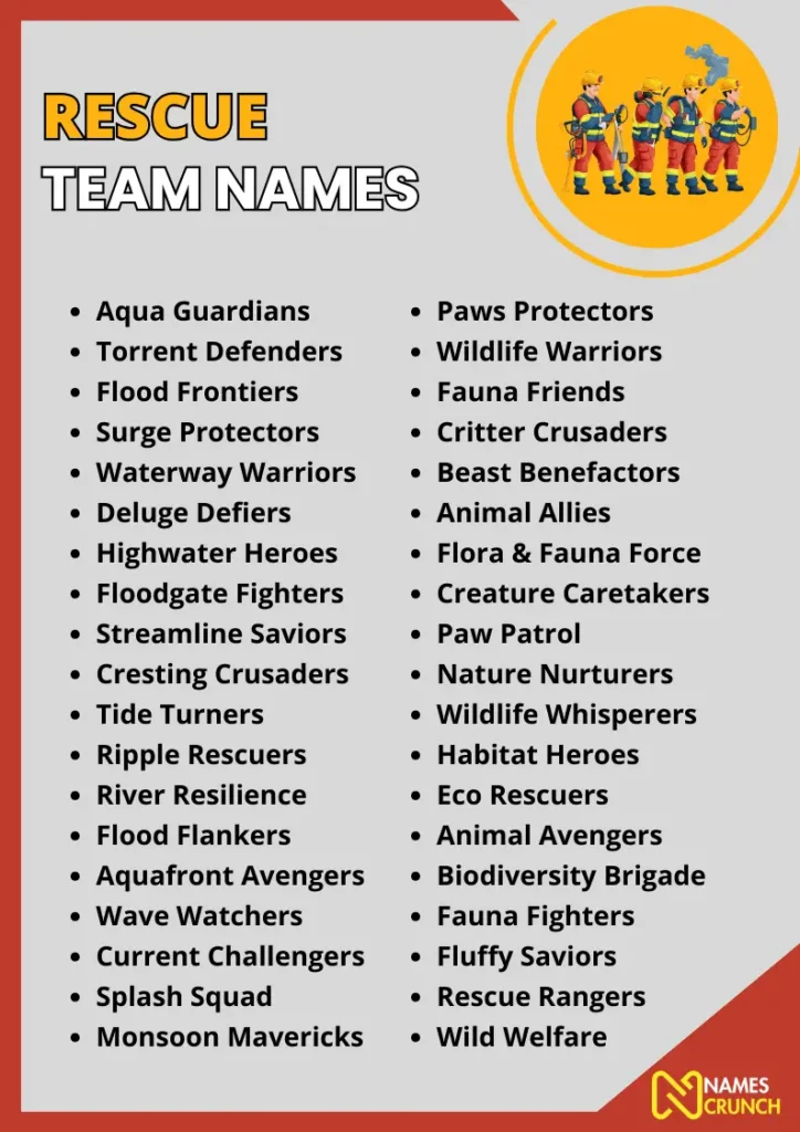 Rescue Team Names infographic