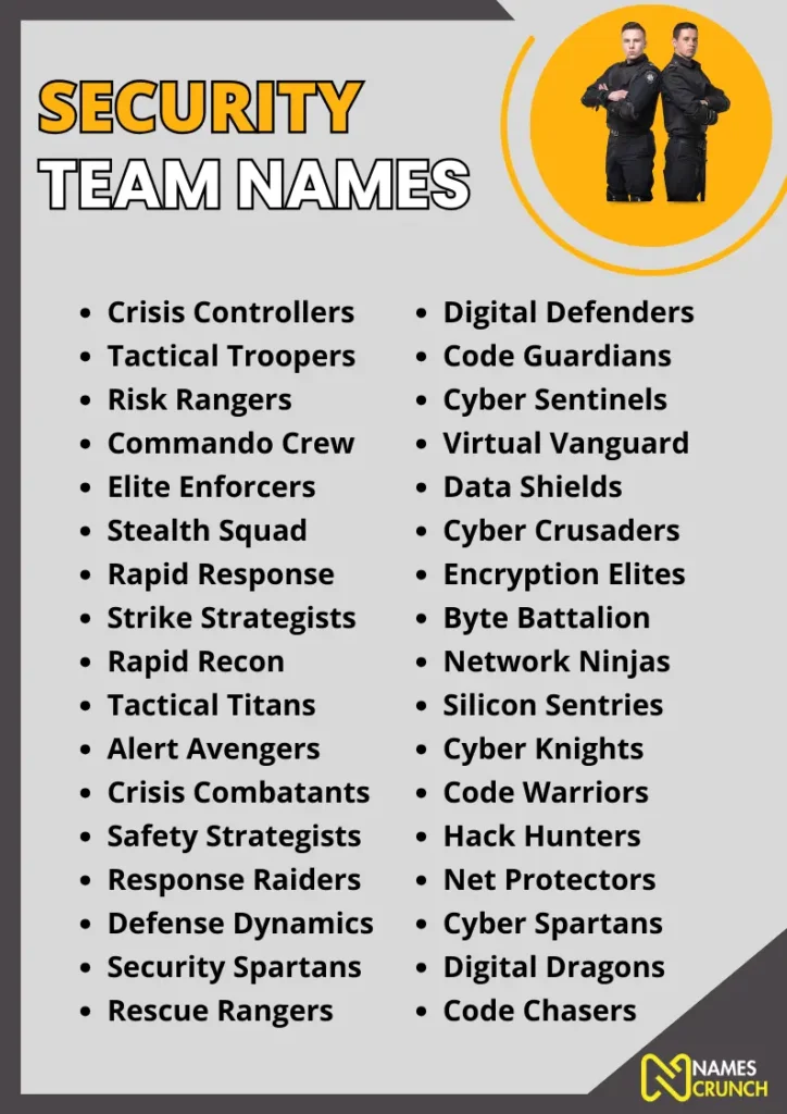 Security Team Names infographic