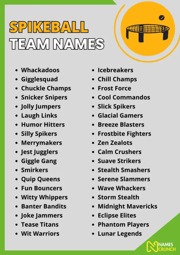 Spikeball Team Names infographic