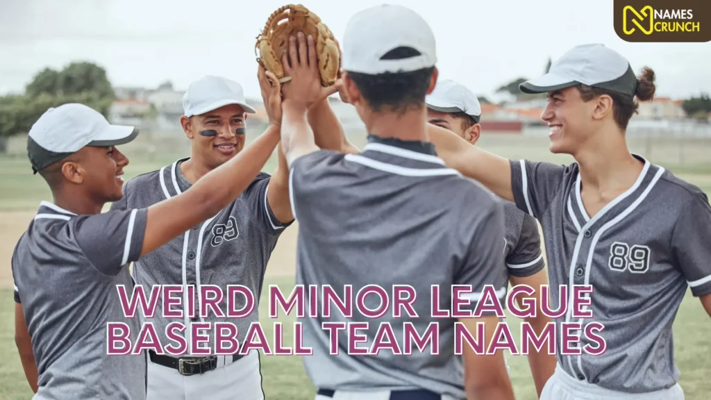 Weird Minor League Baseball Team Names