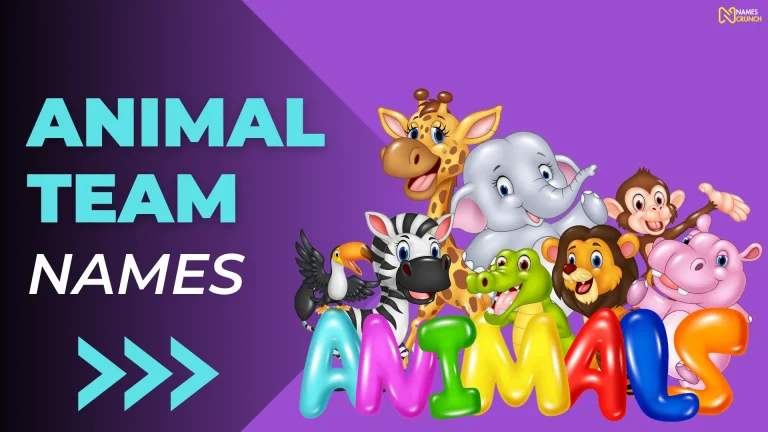 Animal Team Names