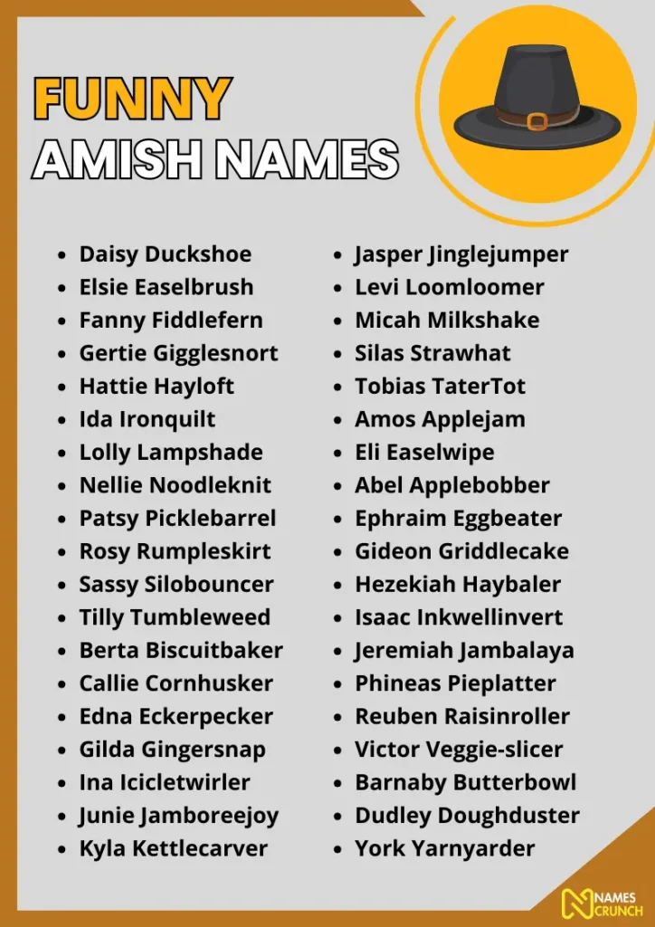 Funny Amish Names infographic