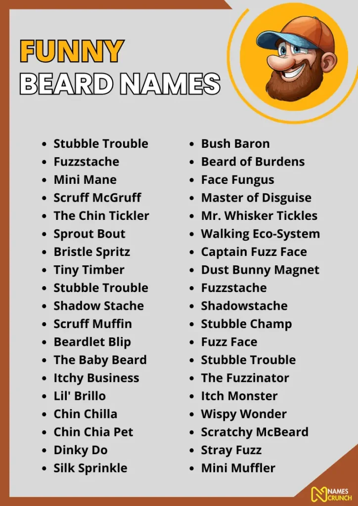 Funny Beard Names infographic
