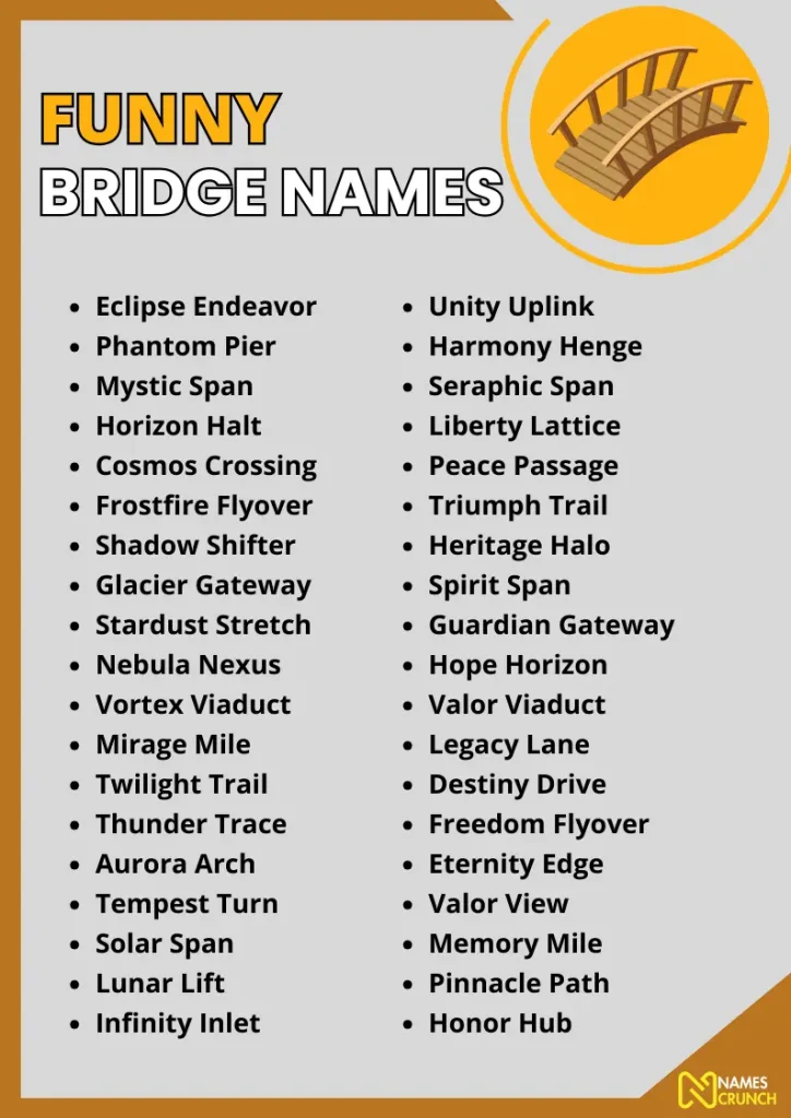 Funny Bridge Names infographic