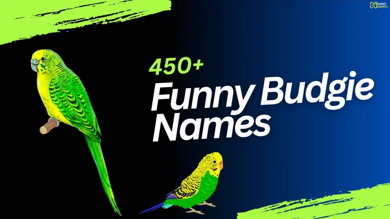 Funny Budgie Names