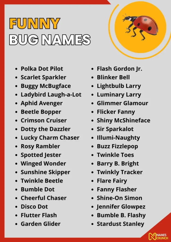Funny Bug Names infographic
