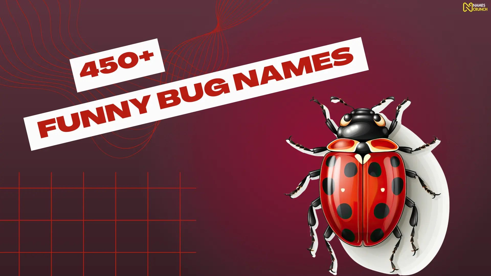 Funny Bug Names