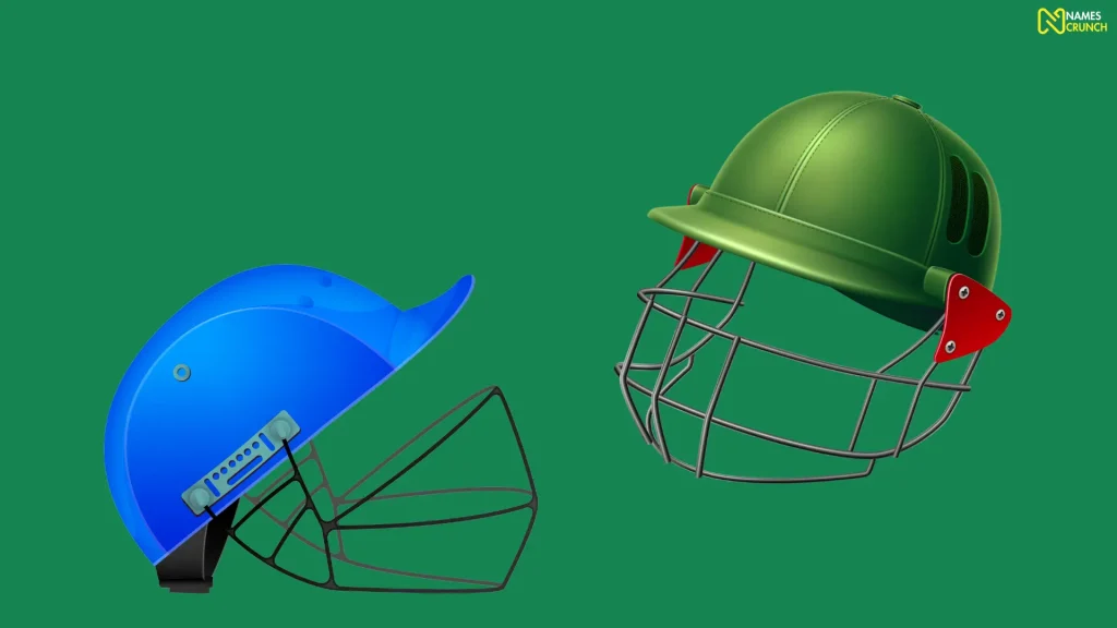 Funny Cricket Helmet Names