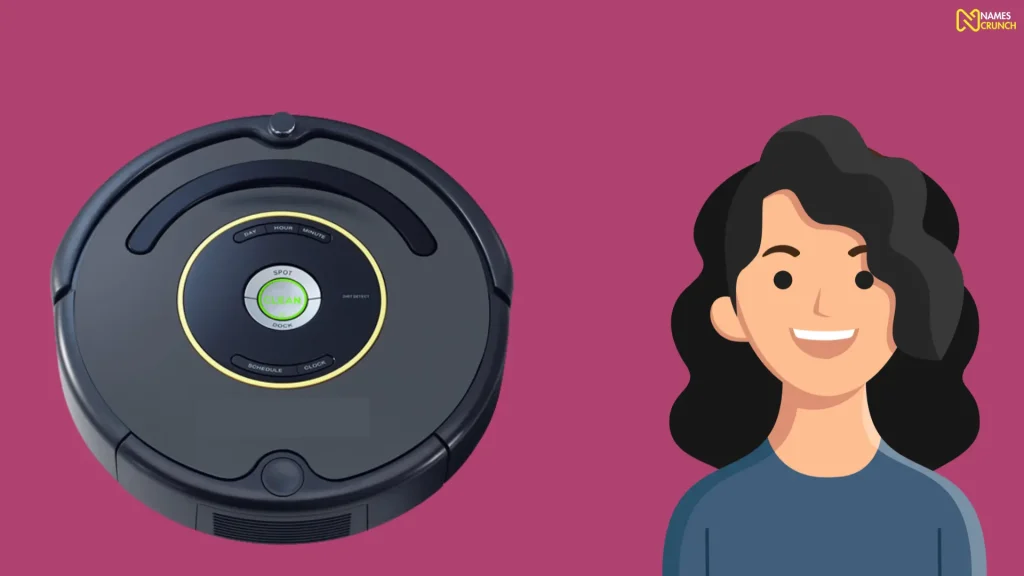 Funny Female Roomba Names